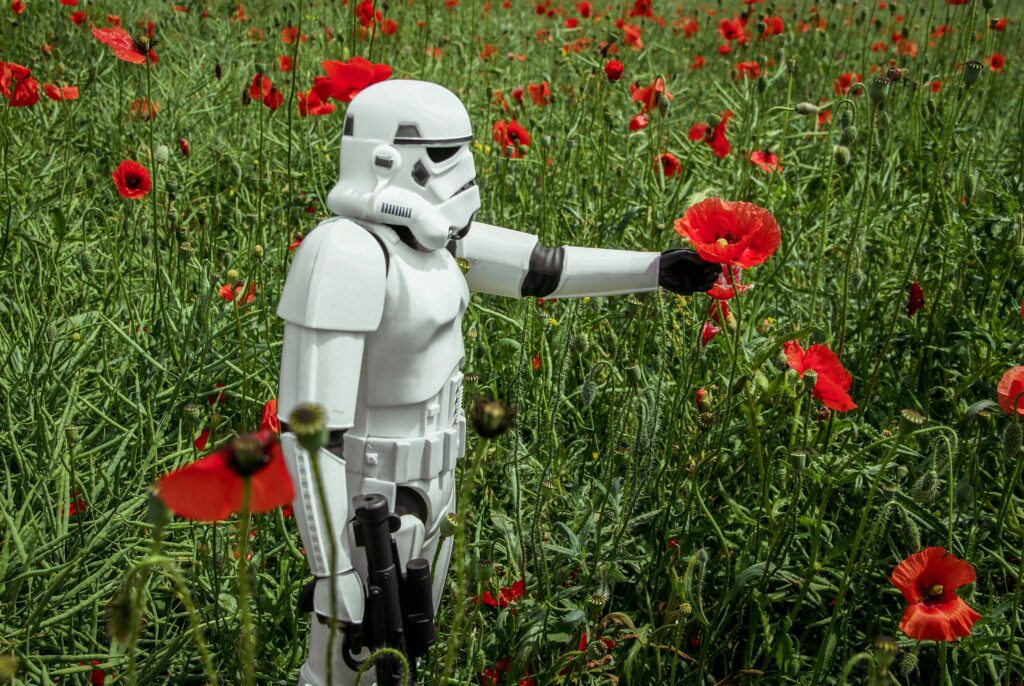 Star Wars Stormtrooper figure holding a flower