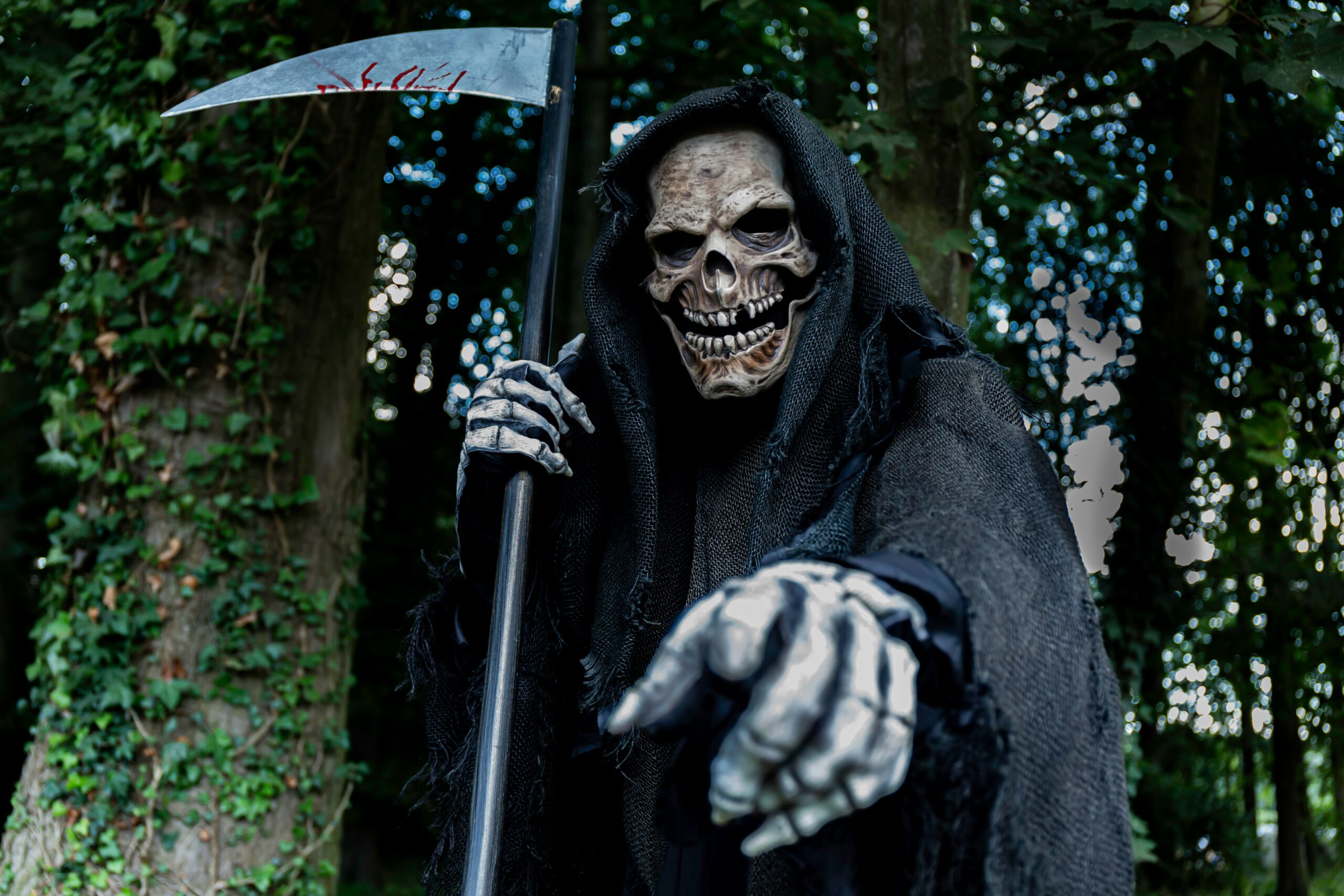 Evolve Recruitment: the death knell for Consult?