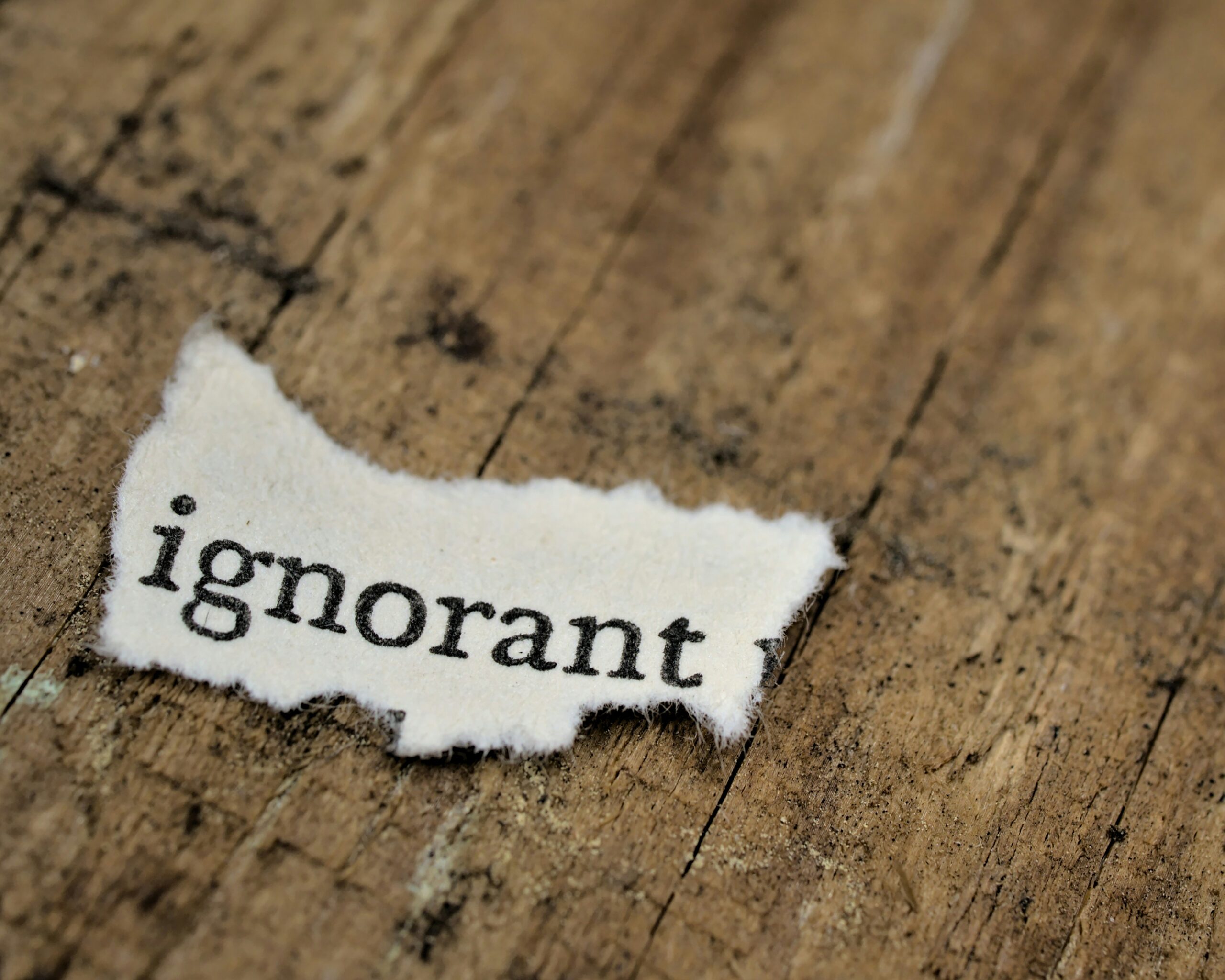 Stuart Nash…and other irrelevancies